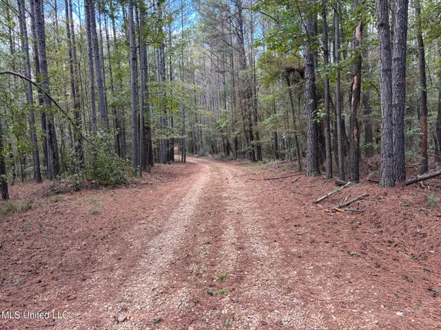 $207,041 | 503 Highway 13, Mendenhall, MS 39114