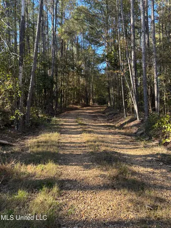 $199,900 | 503 Highway 13, Mendenhall, MS 39114