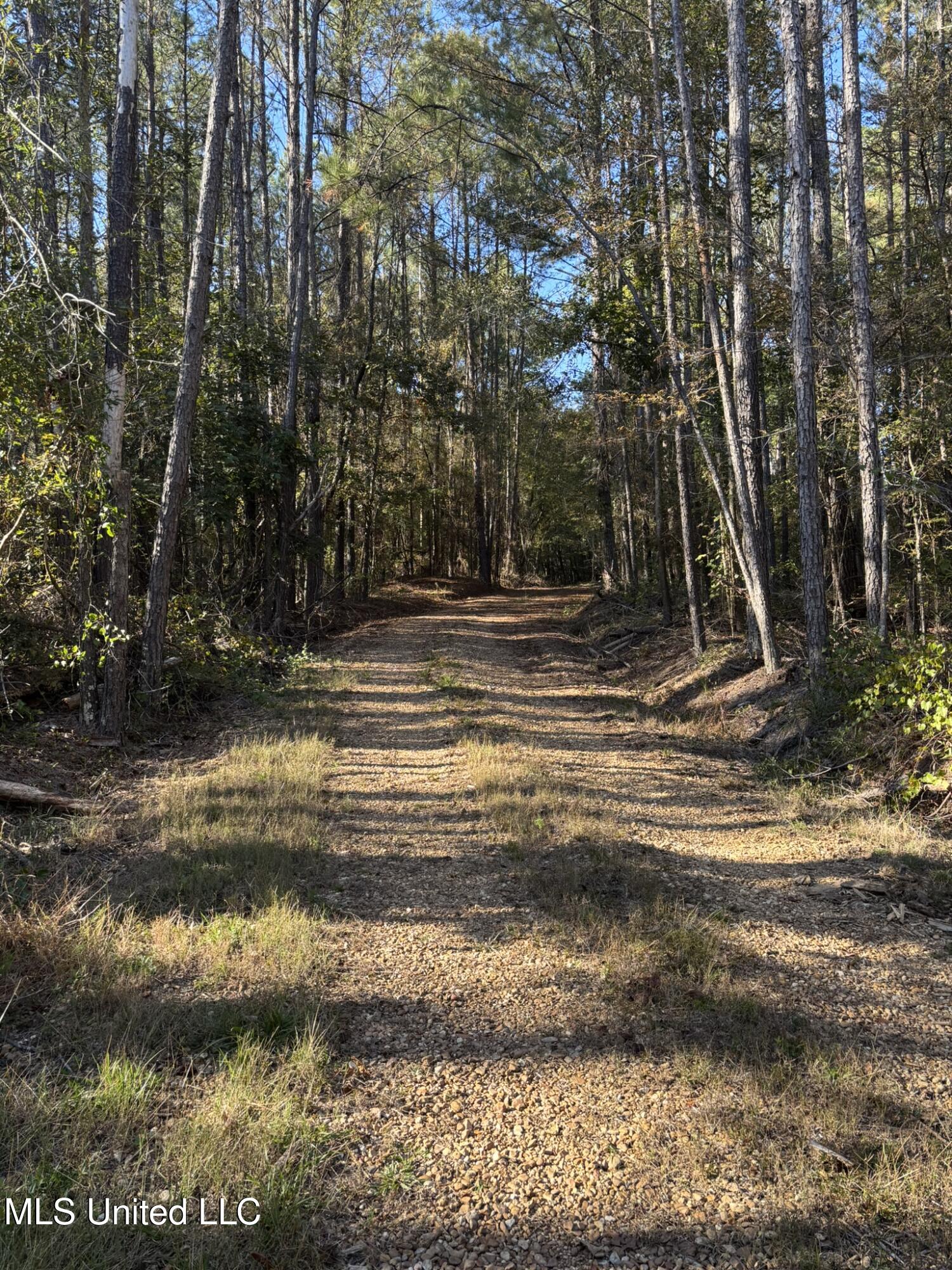 503 Highway 13 Mendenhall, MS 39114 - Photo 12 of 19 IMG_4553