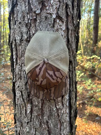 $199,900 | 503 Highway 13, Mendenhall, MS 39114