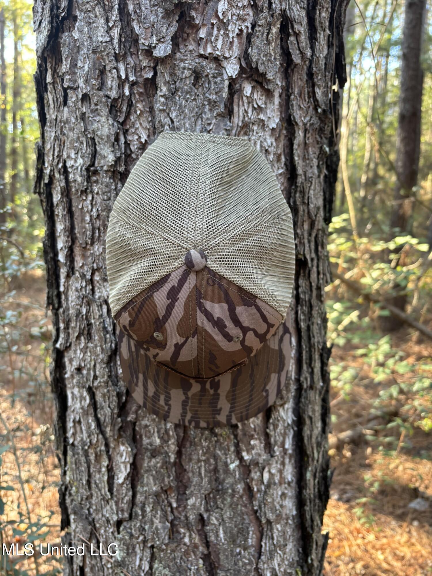 503 Highway 13 Mendenhall, MS 39114 - Photo 15 of 19 IMG_4556