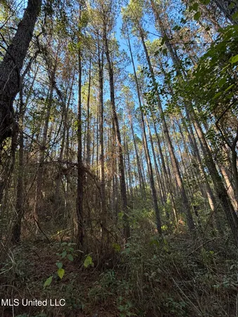 $199,900 | 503 Highway 13, Mendenhall, MS 39114