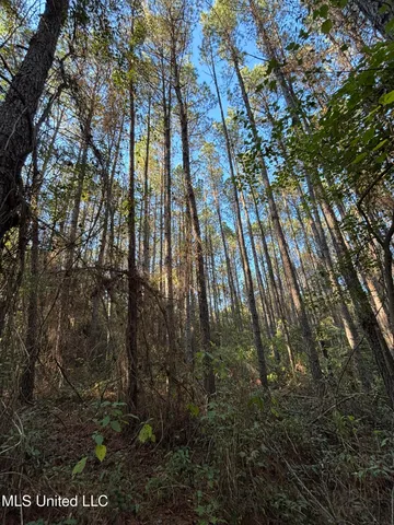 $207,041 | 503 Highway 13, Mendenhall, MS 39114