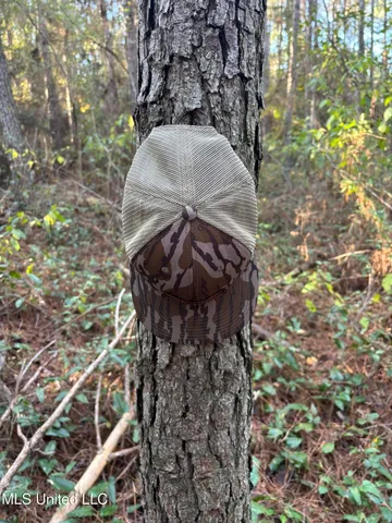 $207,041 | 503 Highway 13, Mendenhall, MS 39114