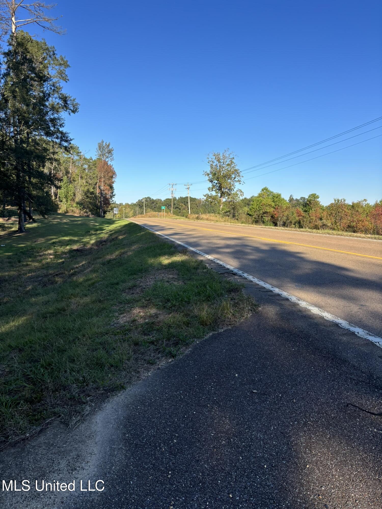 503 Highway 13 Mendenhall, MS 39114 - Photo 18 of 19 IMG_4559