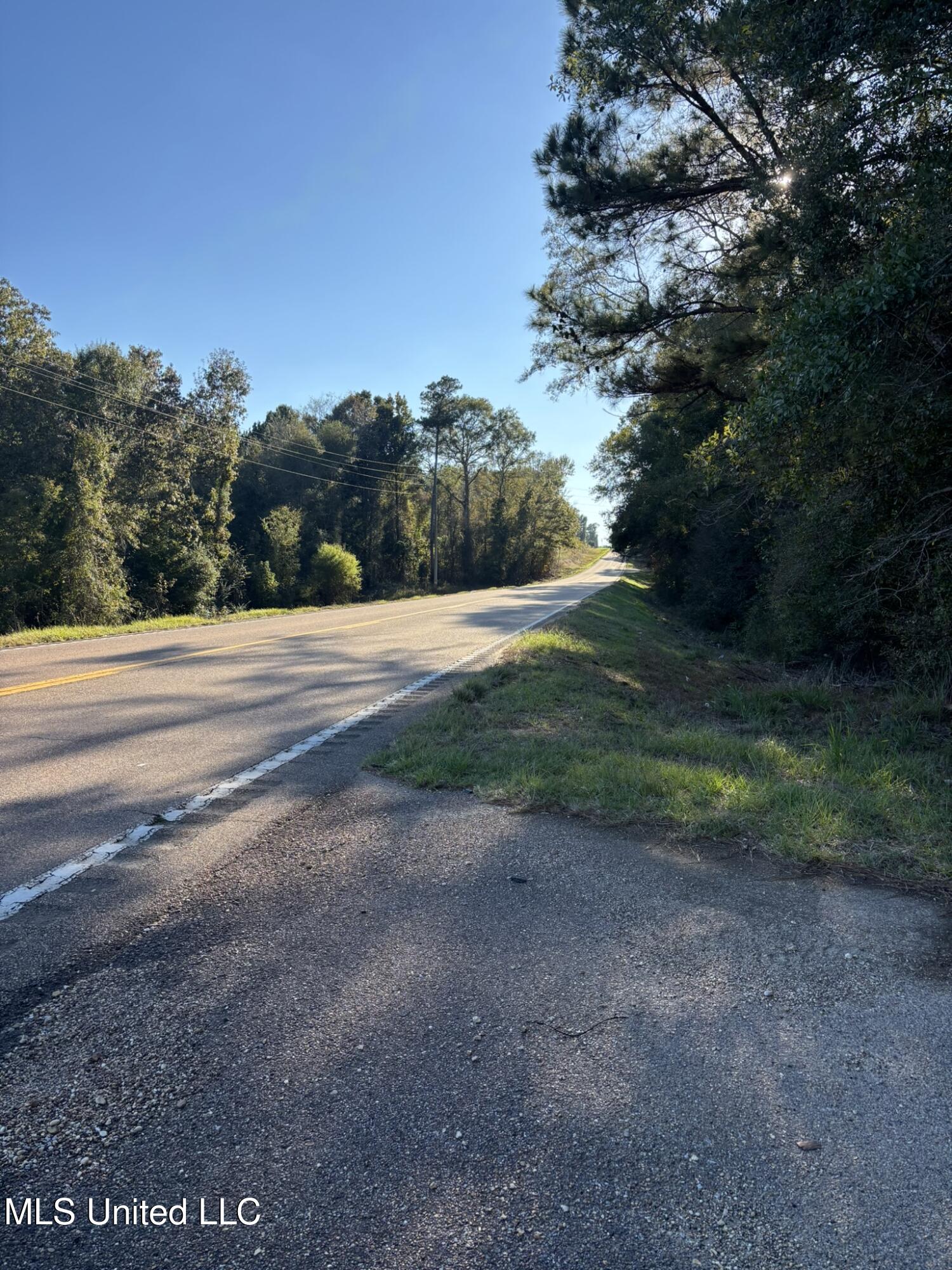 503 Highway 13 Mendenhall, MS 39114 - Photo 19 of 19 IMG_4560