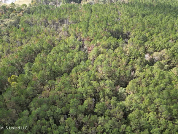 $199,900 | 503 Highway 13, Mendenhall, MS 39114