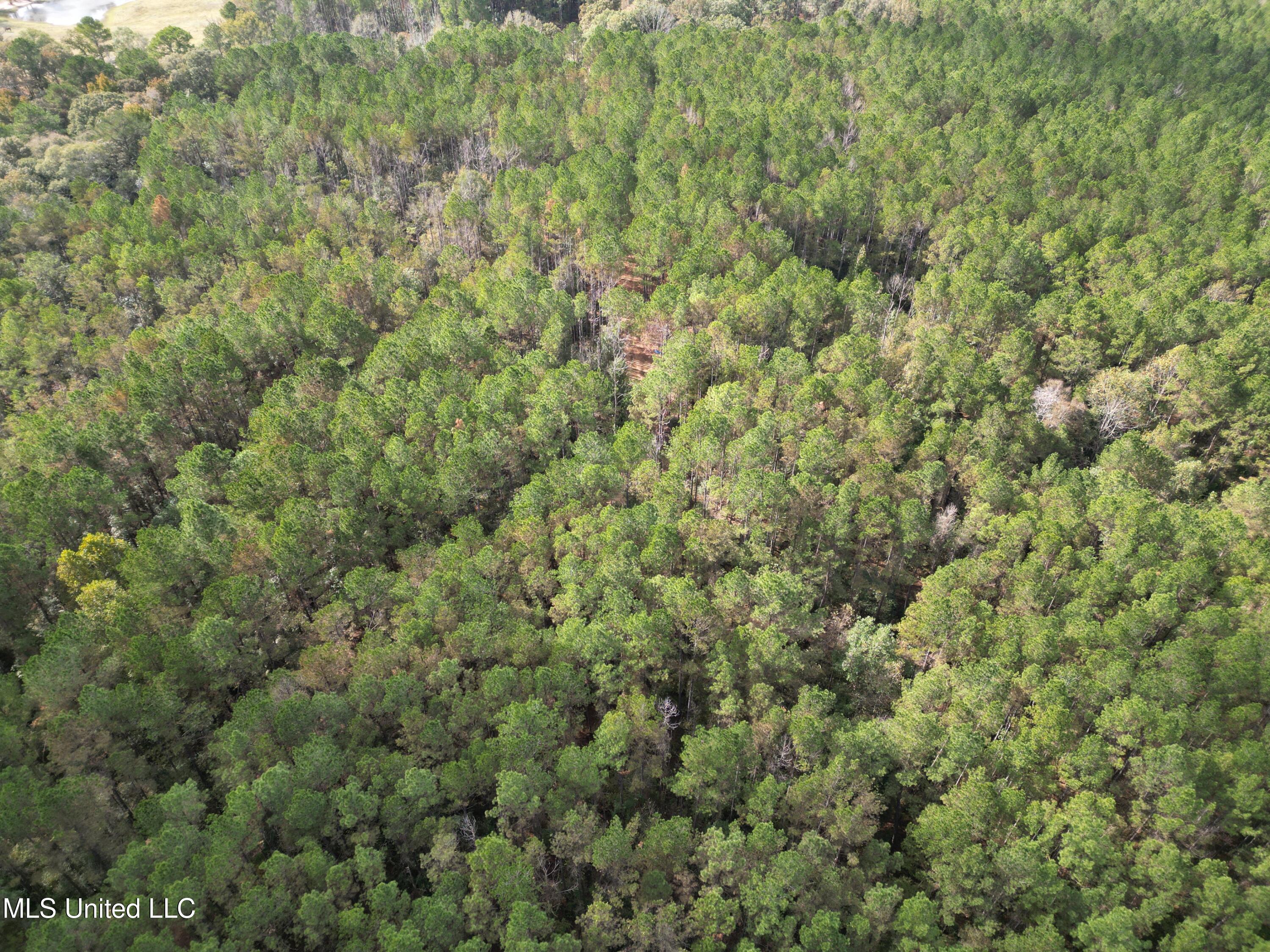 503 Highway 13 Mendenhall, MS 39114 - Photo 2 of 19 dji_fly_20251031_155114_58_1762270926895