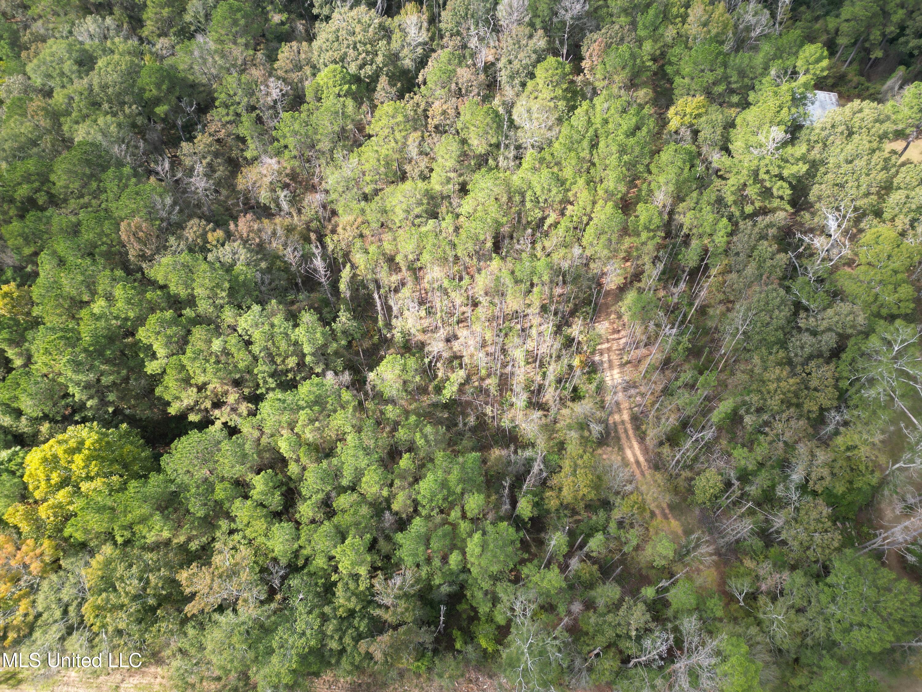 503 Highway 13 Mendenhall, MS 39114 - Photo 3 of 19 dji_fly_20251031_155222_59_1762270930224