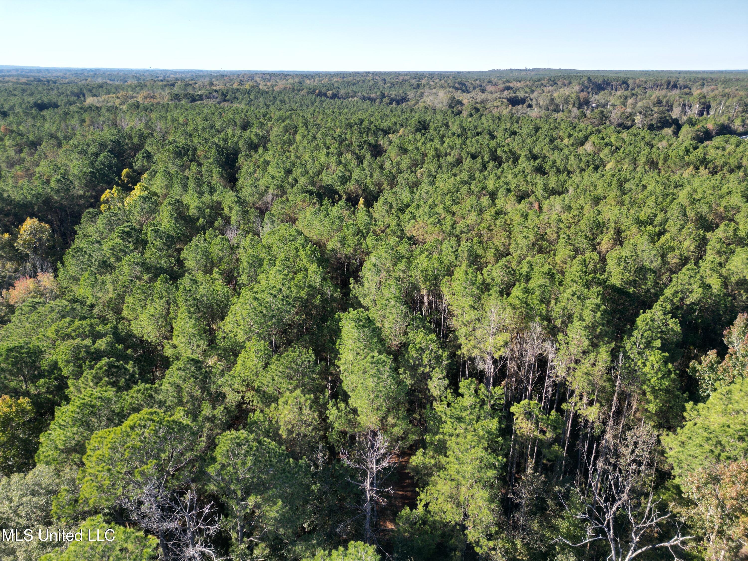 503 Highway 13 Mendenhall, MS 39114 - Photo 4 of 19 dji_fly_20251101_171726_60_1762270934070