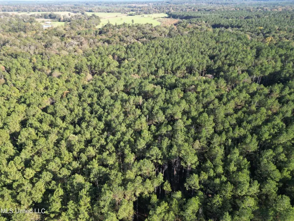 $199,900 | 503 Highway 13, Mendenhall, MS 39114