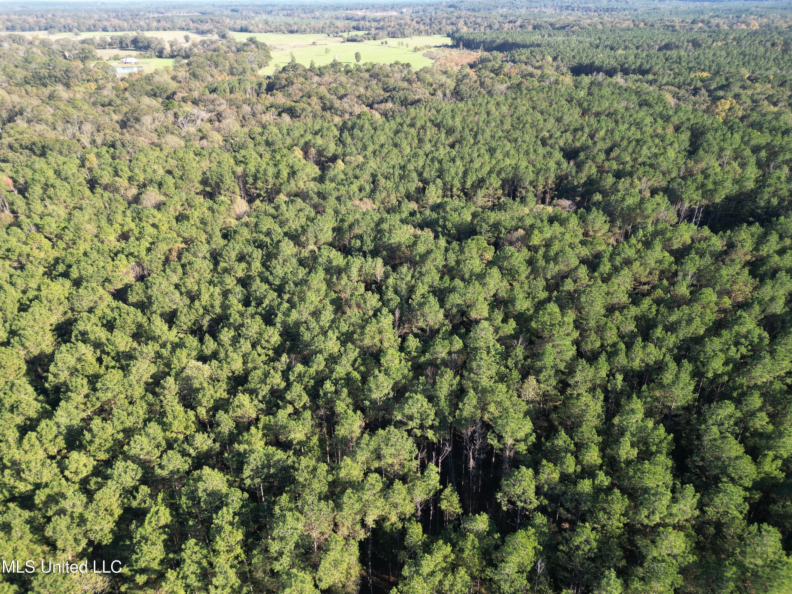 503 Highway 13 Mendenhall, MS 39114 - Photo 5 of 19 dji_fly_20251101_172724_63_1762270948344