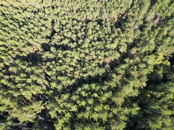 $199,900 | 503 Highway 13, Mendenhall, MS 39114