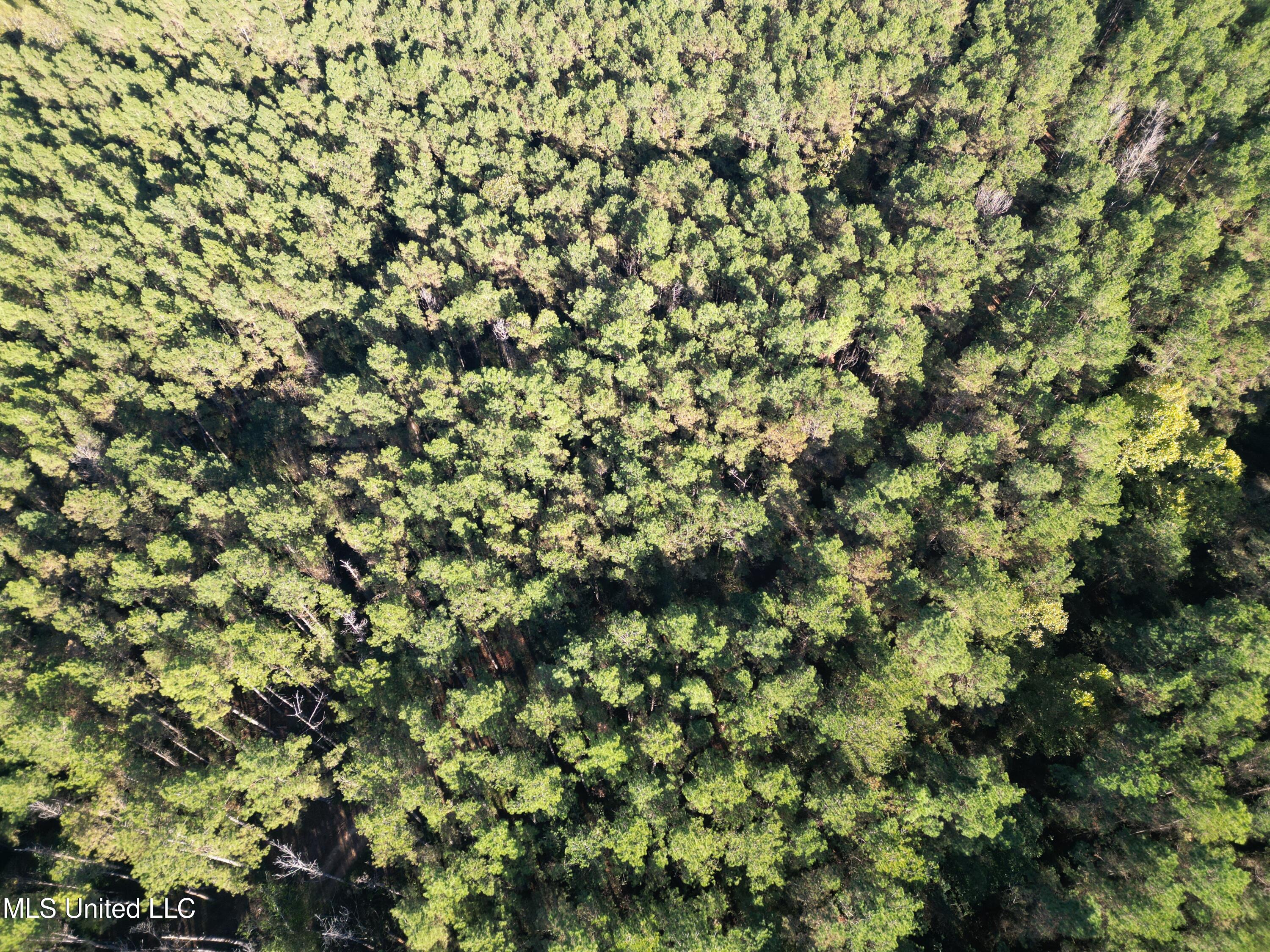 503 Highway 13 Mendenhall, MS 39114 - Photo 6 of 19 dji_fly_20251101_172824_64_1762270956280