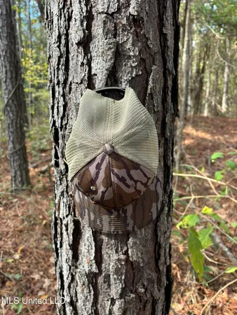 $199,900 | 503 Highway 13, Mendenhall, MS 39114