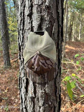 $207,041 | 503 Highway 13, Mendenhall, MS 39114