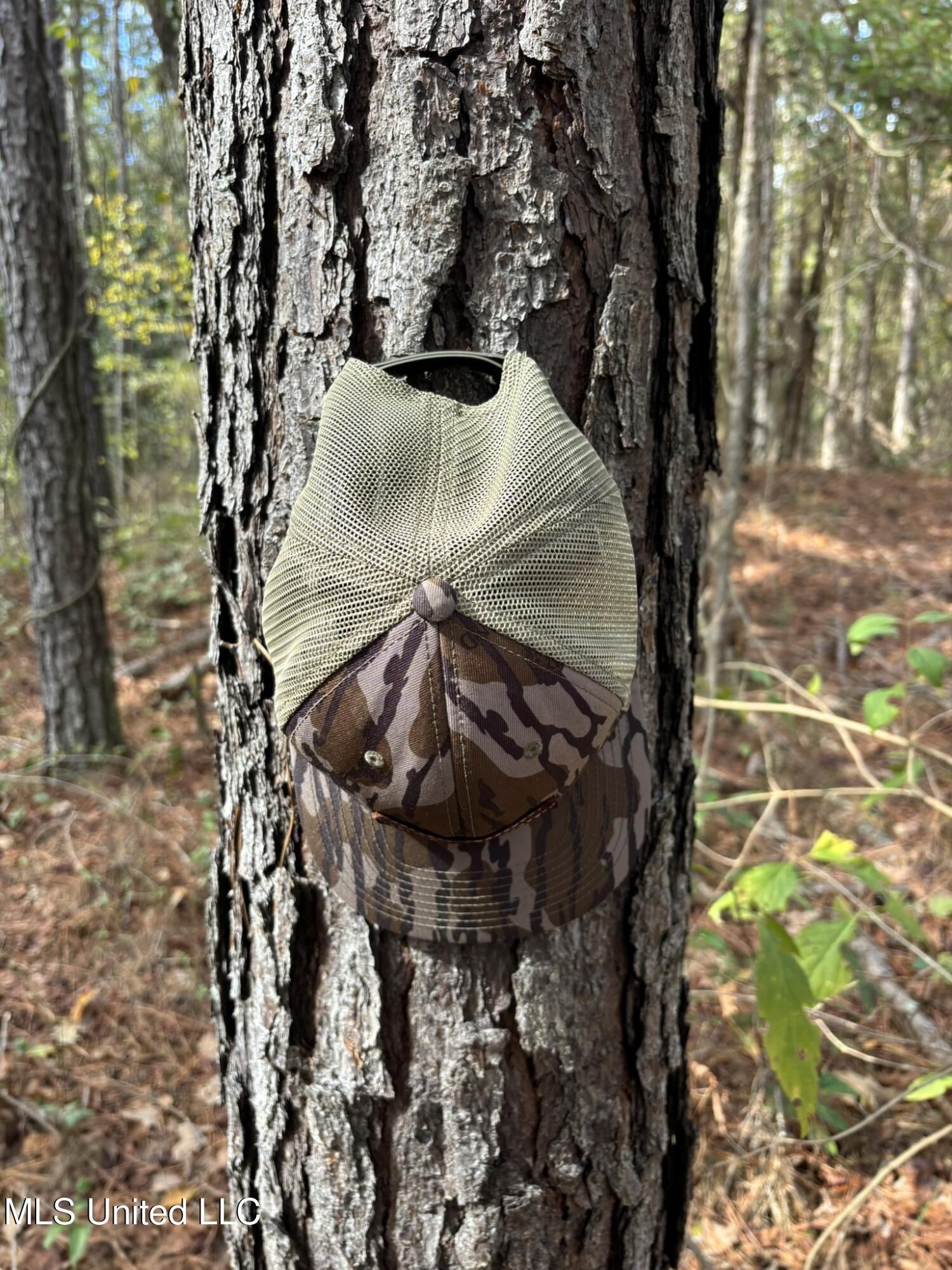 503 Highway 13 Mendenhall, MS 39114 - Photo 7 of 19 IMG_4547