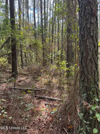 $199,900 | 503 Highway 13, Mendenhall, MS 39114