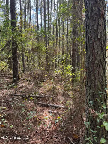 $207,041 | 503 Highway 13, Mendenhall, MS 39114