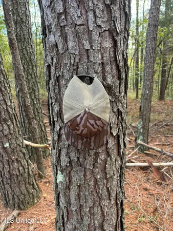 $199,900 | 503 Highway 13, Mendenhall, MS 39114