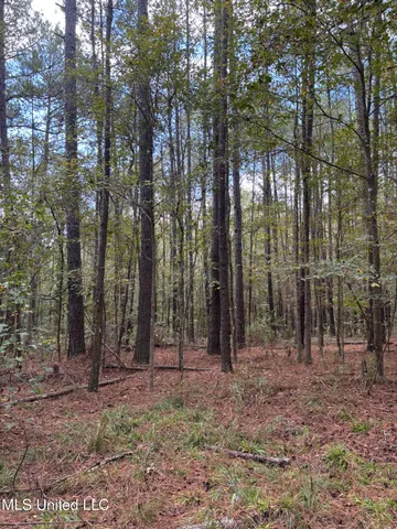 $207,041 | 503 Highway 13, Mendenhall, MS 39114
