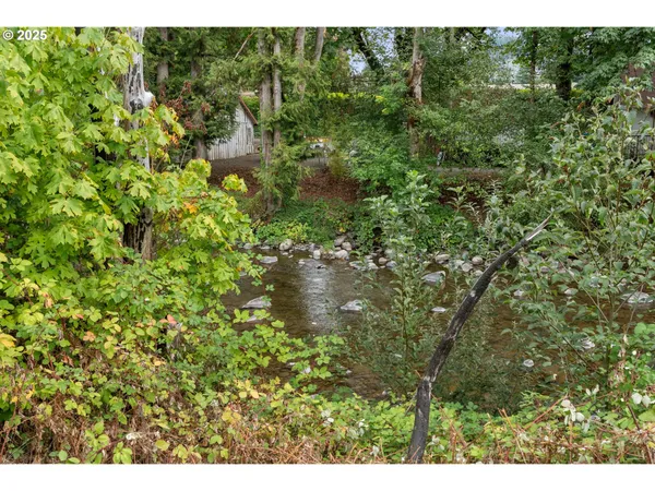 a view of a lush green forest