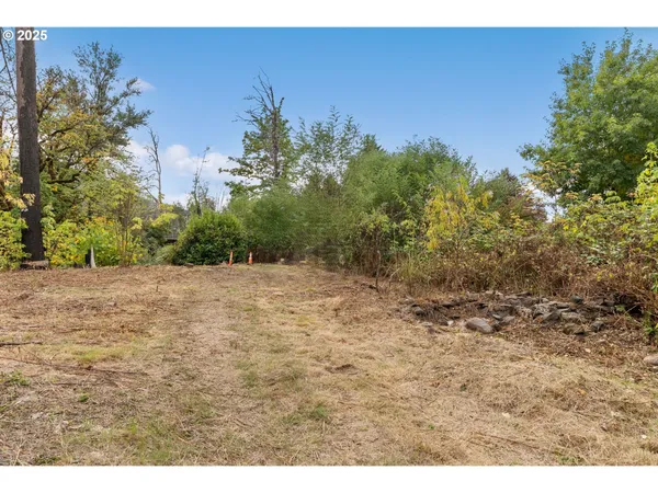 a view of a yard