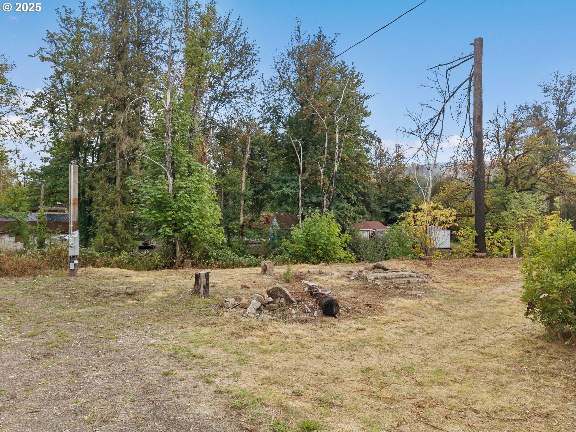 45678 North Gate Creek Road Vida, OR 97488 - Photo 8 of 17 Gallery Image 8