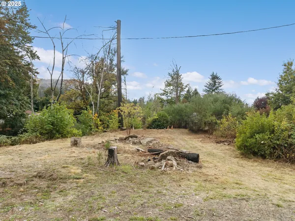 a view of outdoor space and yard
