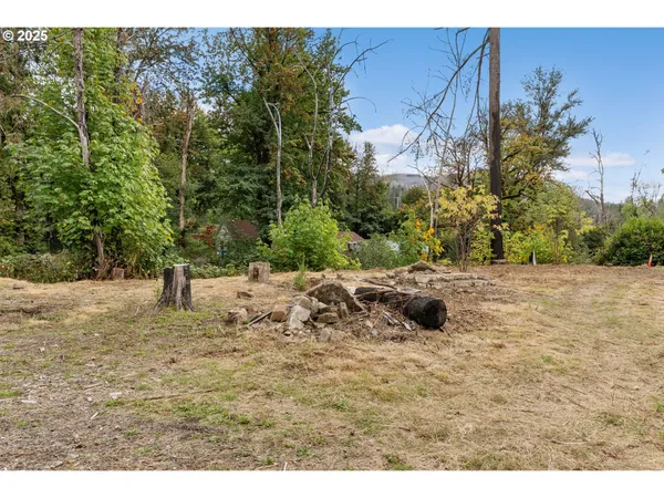 a view of a backyard with plants and lake view