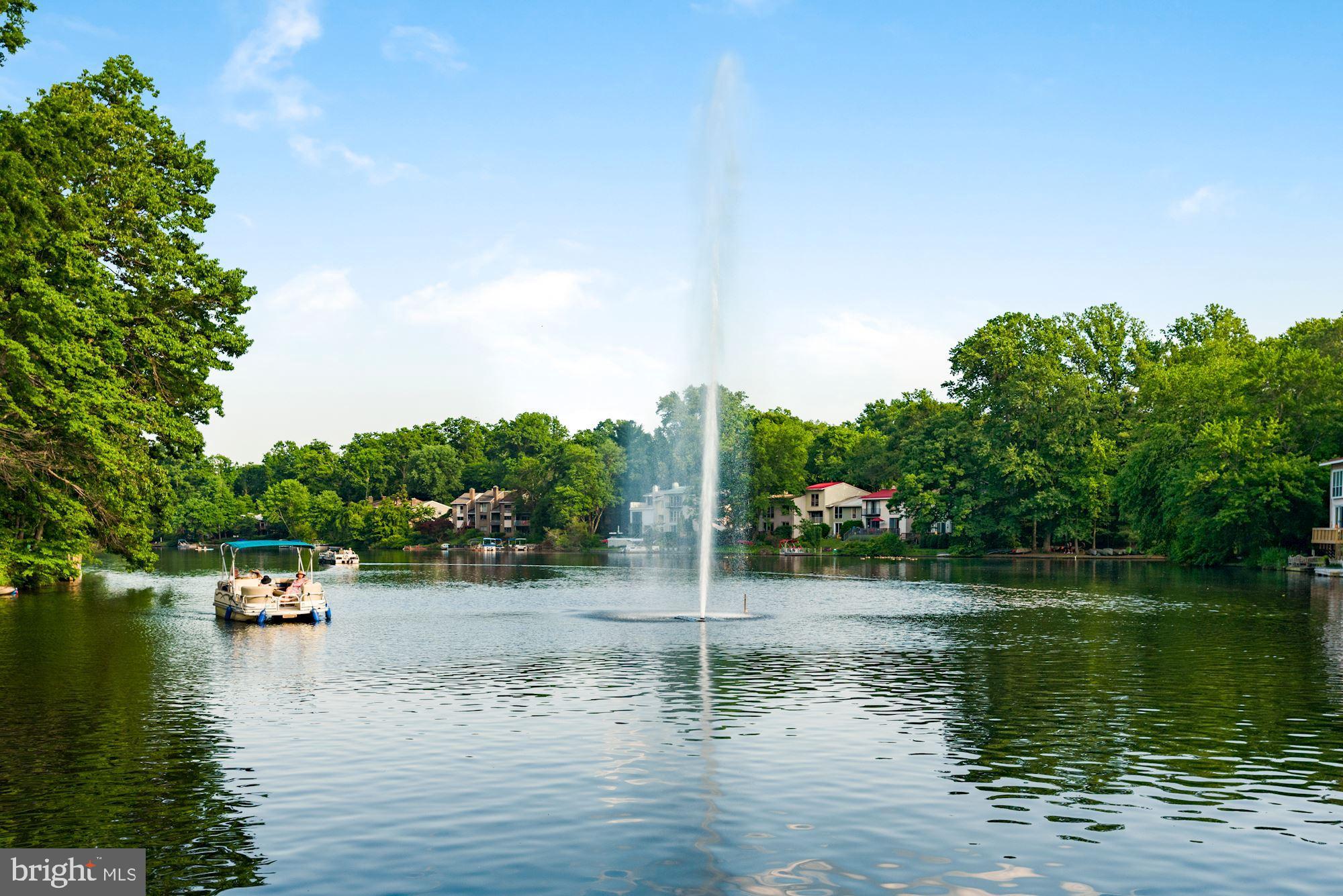 1608 Chimney House Road, Unit 1608 Reston, VA 20190 - Photo 5 of 42 Lake Anne of Reston