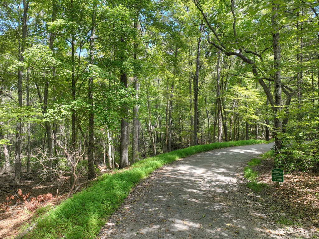 Lot 5 Chief Ron Green Trail Blue Ridge, GA 30513 - Photo 6 of 18 Gallery Image 6