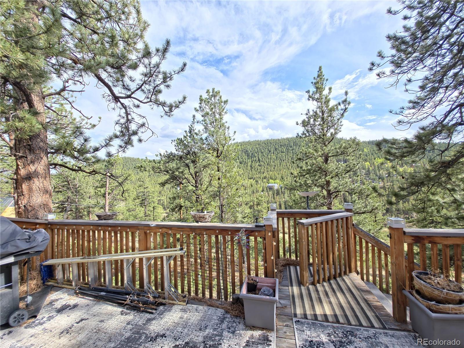 226 Hall Road Bailey, CO 80421 - Photo 17 of 26