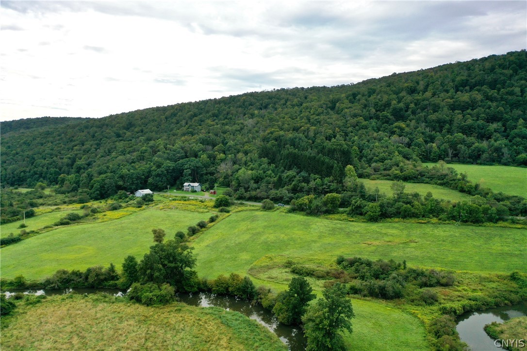 0 West Cheningo Road Truxton, NY 13158 - Photo 1 of 9 Gallery Image 1