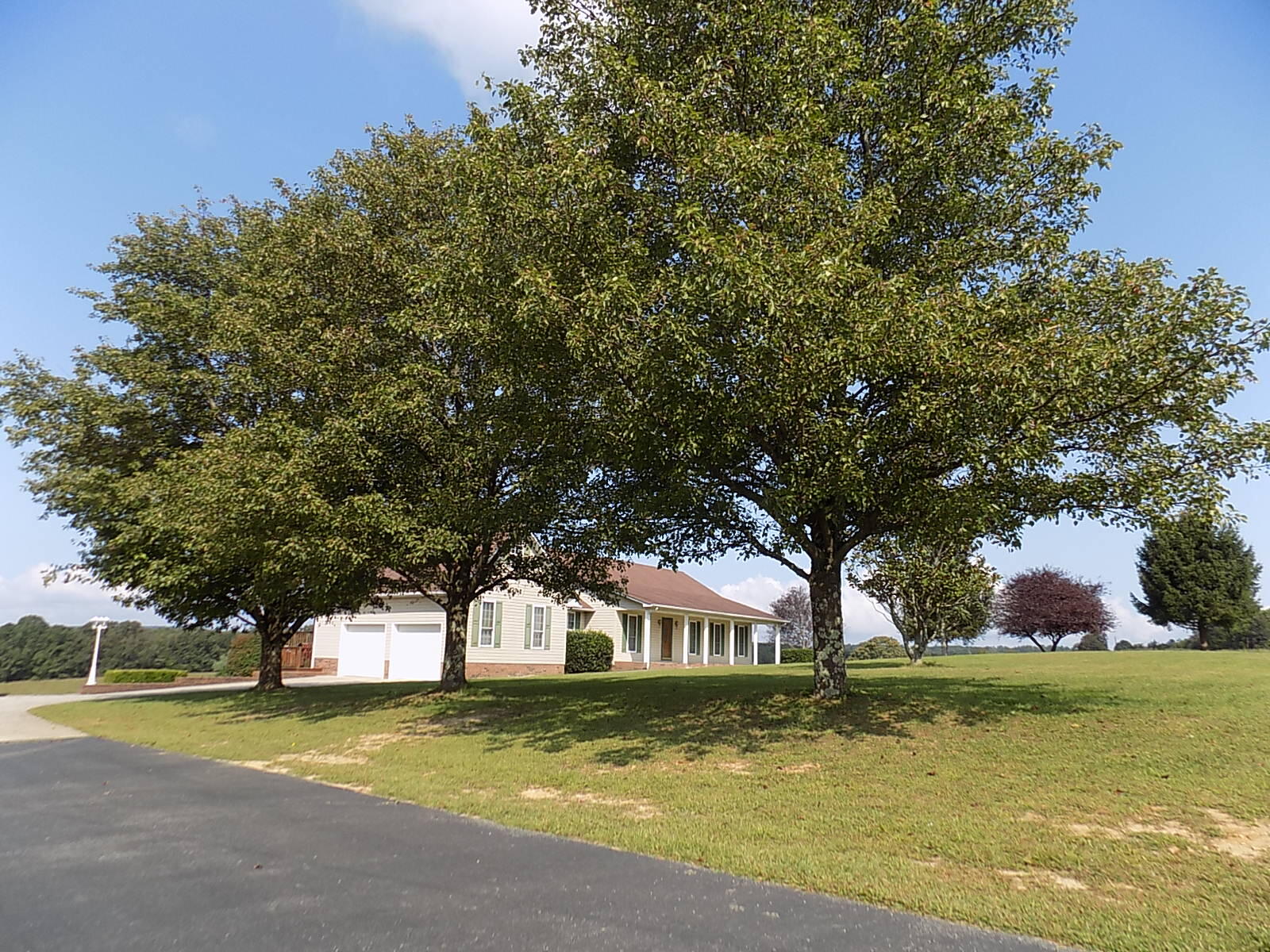 9847 Hendon Road Graysville, TN 37338 - Photo 12 of 36 DSCN0013