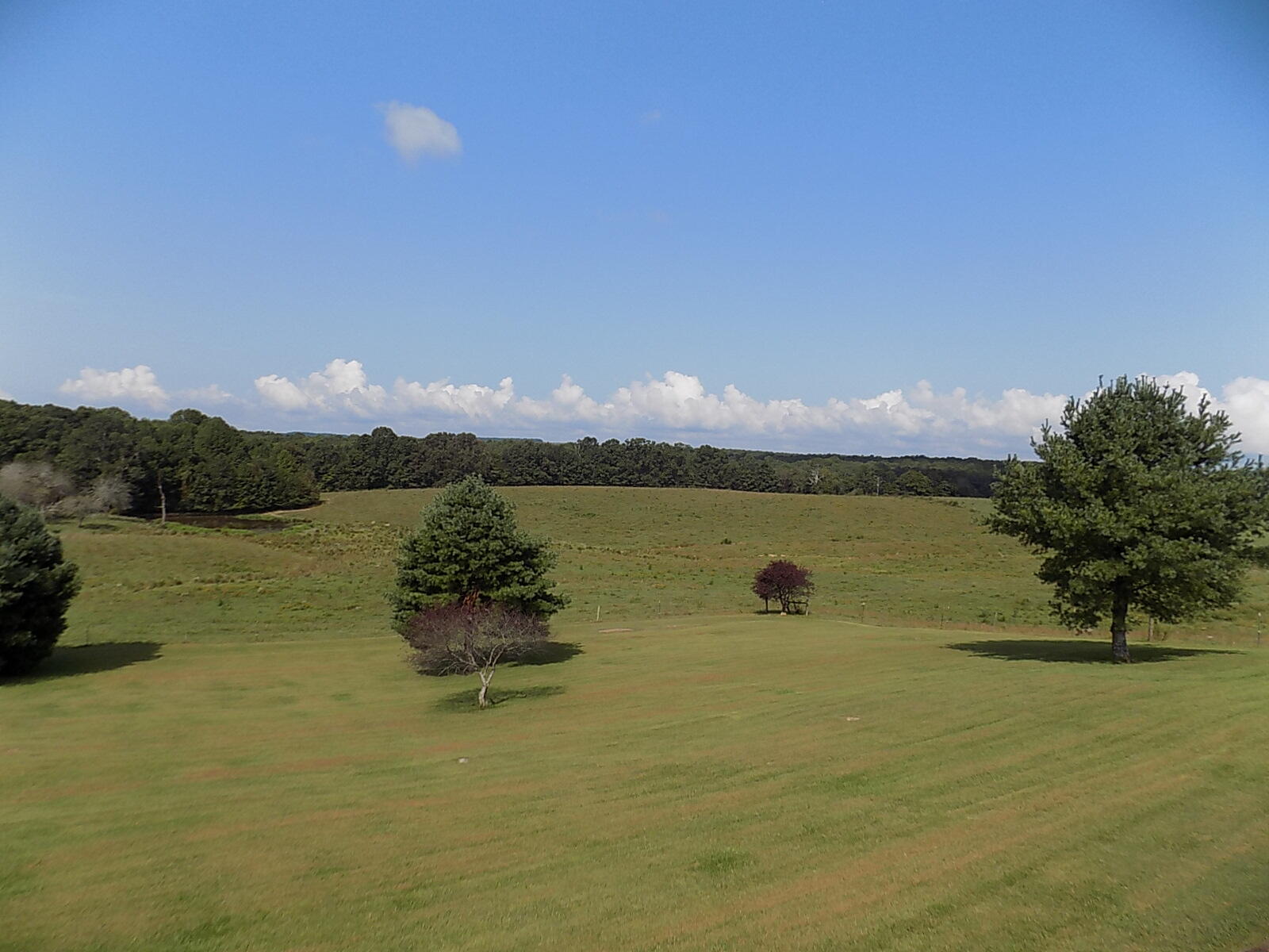 9847 Hendon Road Graysville, TN 37338 - Photo 18 of 36 DSCN0019
