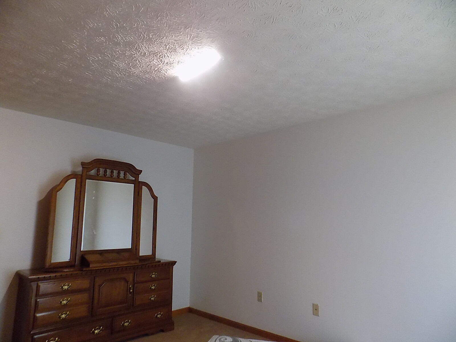 9847 Hendon Road Graysville, TN 37338 - Photo 29 of 36 DSCN0031