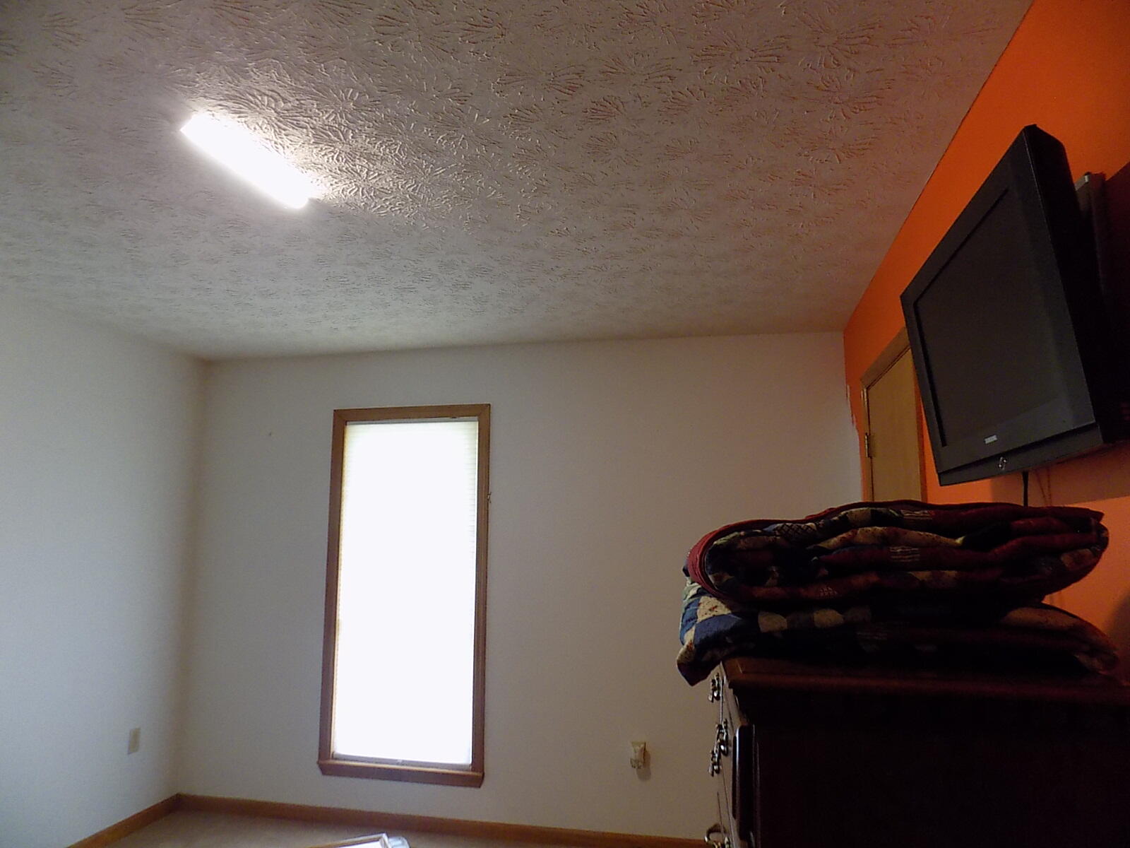 9847 Hendon Road Graysville, TN 37338 - Photo 30 of 36 DSCN0032