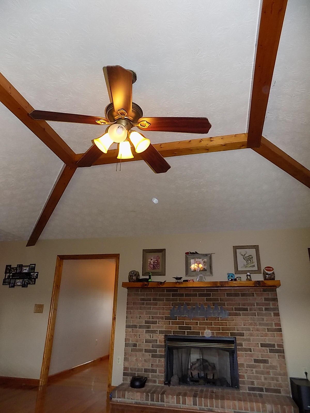 9847 Hendon Road Graysville, TN 37338 - Photo 35 of 36 DSCN0045