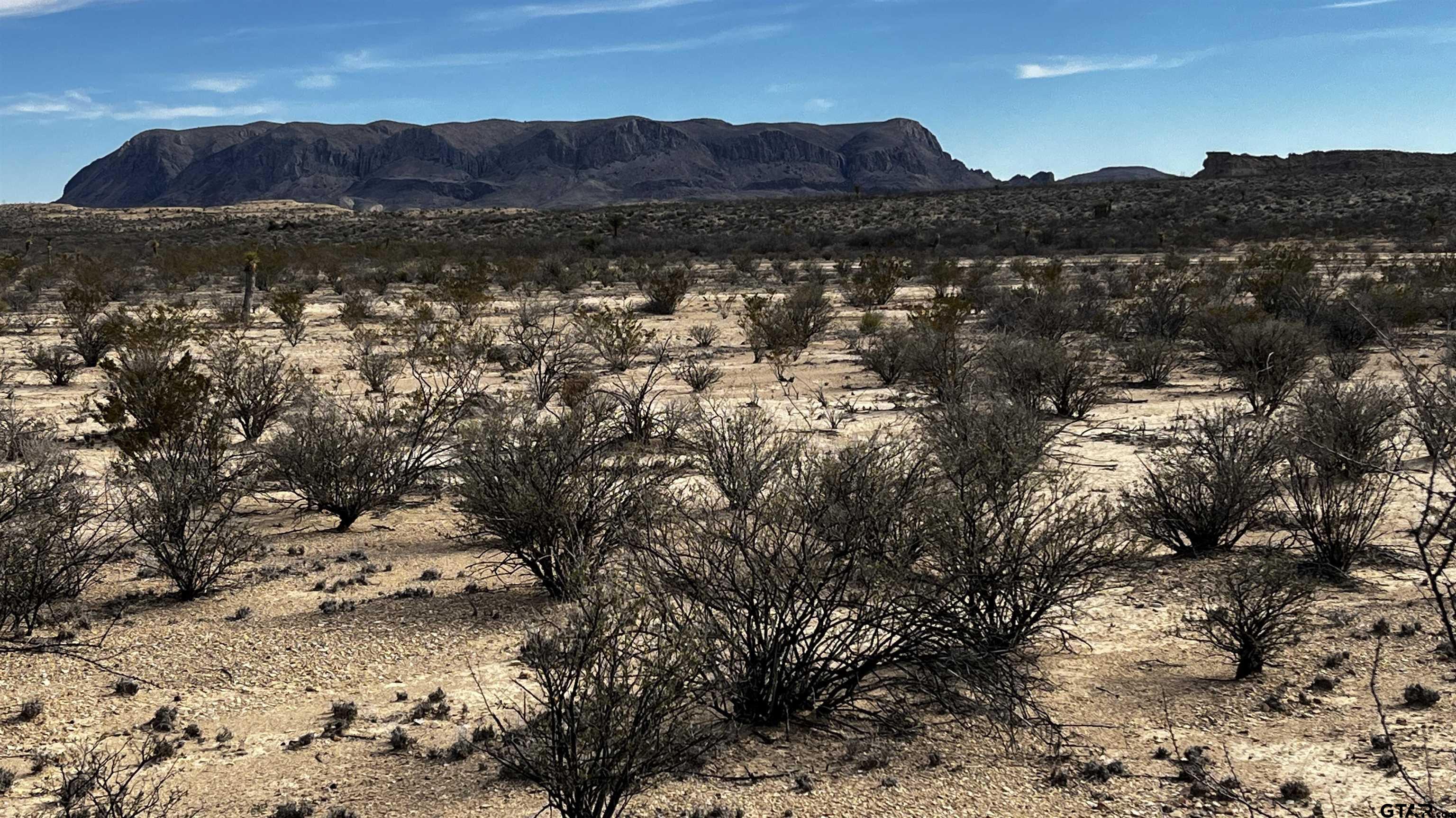 a view of a lake in middle of forest