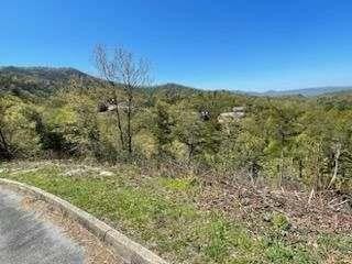27 Grouse Ridge Lane Sevierville, TN 37862 - Photo 1 of 9