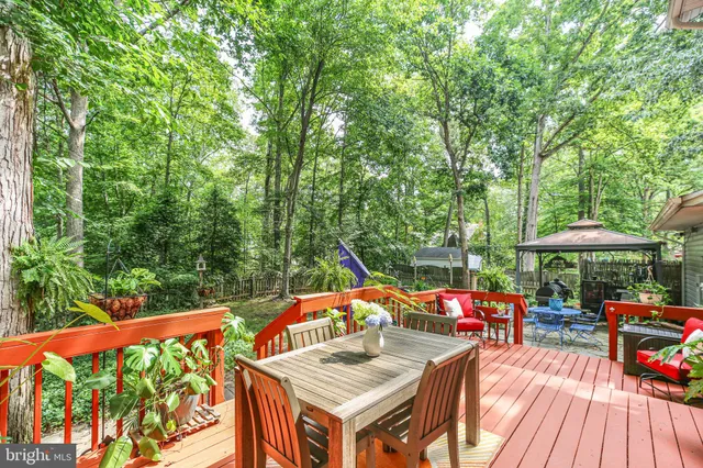a living room filled with furniture and a potted plant
