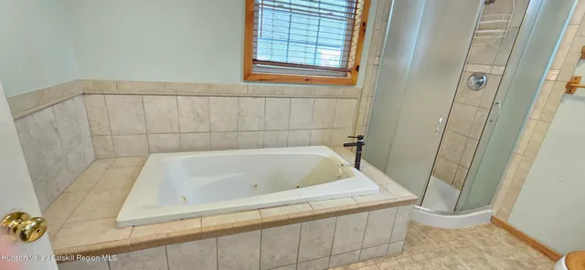a bathroom with a bathtub