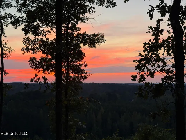 $369,000 | 2864 Highway 407, Kilmichael, MS 39747