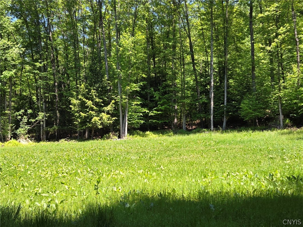 Lillibridge Road Olean, NY 14760 - Photo 14 of 48