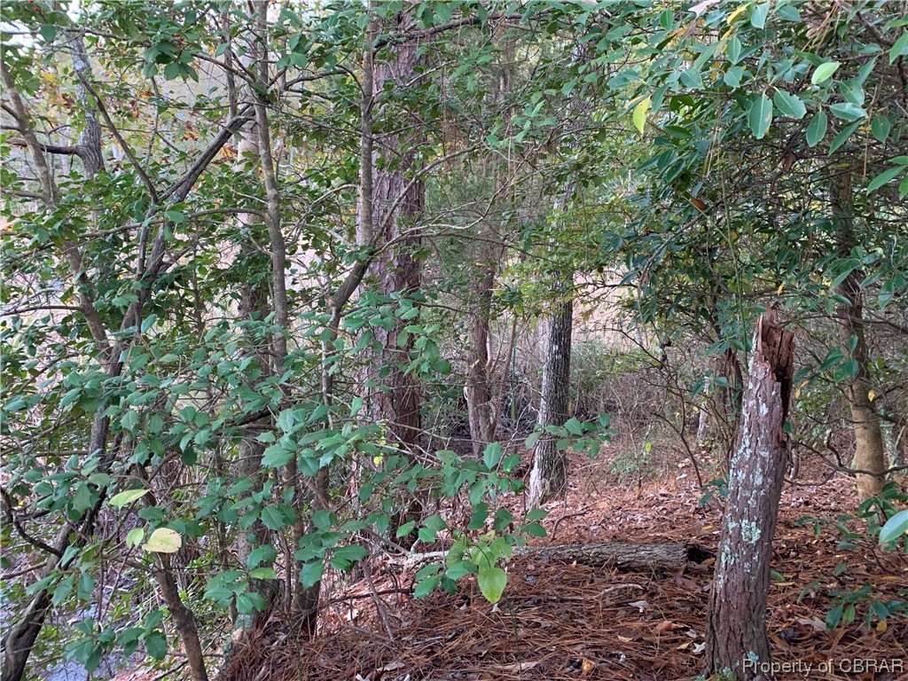 Lot 4 Paddock Drive Lancaster, VA 22503 - Photo 11 of 13
