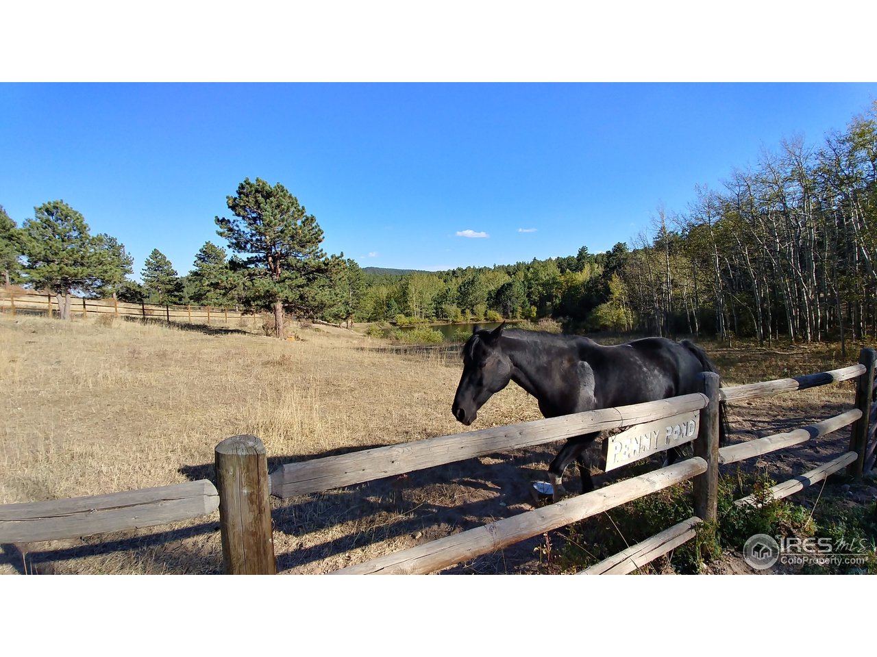 73 Ranch Road Ward, CO 80481 - Photo 11 of 16 Horse Pasture for HOA Members
