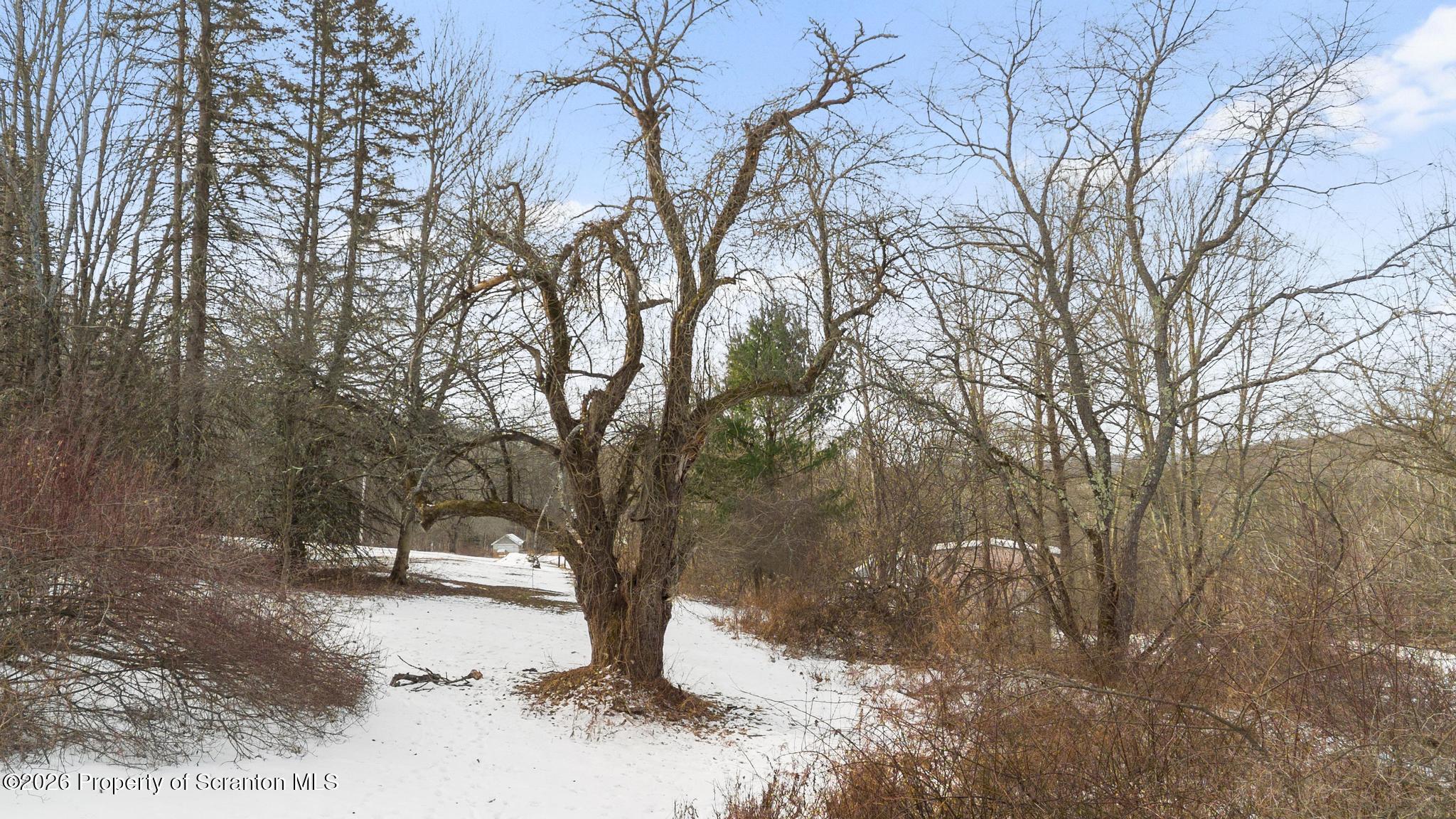 554 Gravity Hill Road Lake Ariel, PA 18436 - Photo 57 of 60 DJI_0776