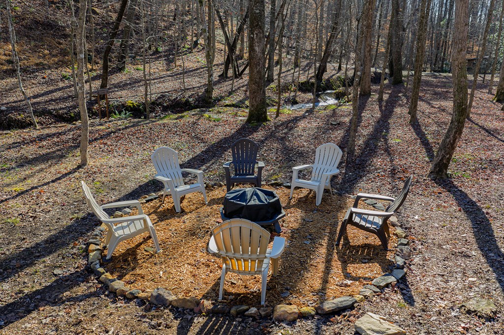 57 Modal Court Ellijay, GA 30540 - Photo 3 of 43 Gallery Image 3