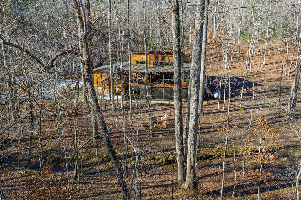 57 Modal Court Ellijay, GA 30540 - Photo 41 of 43 Gallery Image 41
